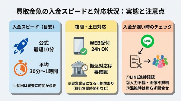 買取金魚の入金スピードと対応状況